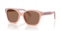 Sunglasses Emporio Armani Child 0EK4009U63877349